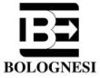 Bolognesi